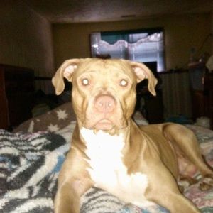 Meet your Posher, Brookelynn